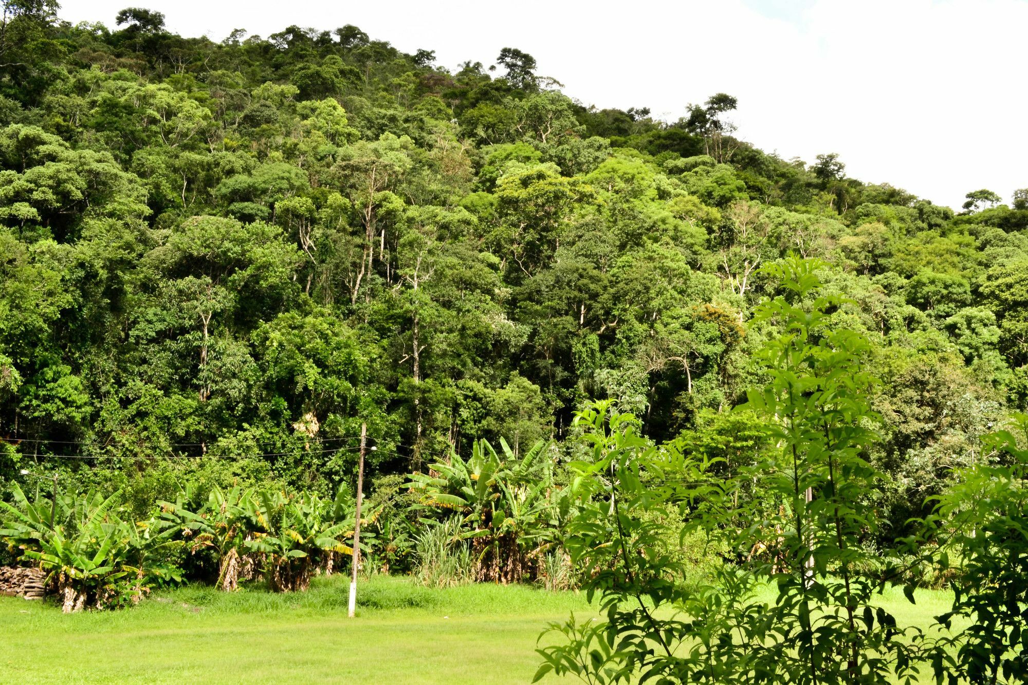 Vale Verde Penedo Hotel Ngoại thất bức ảnh